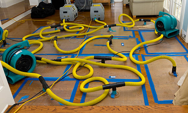 Professional Sewage Cleanup technician working in Angelus Oaks, CA